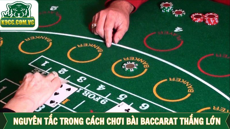 Nắm vững nguyên tắc cơ bản là cách chơi bài Baccarat thắng lớn