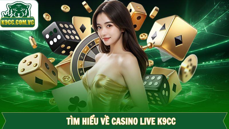 Sân chơi live casino hấp dẫn hàng đầu