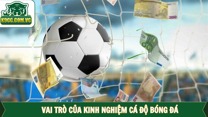 Kinh Nghiệm Cá Độ Bóng Đá Tại K9CC Thắng Cực Đậm 2 Tầm quan trọng trong việc có chiến lược chơi cụ thể